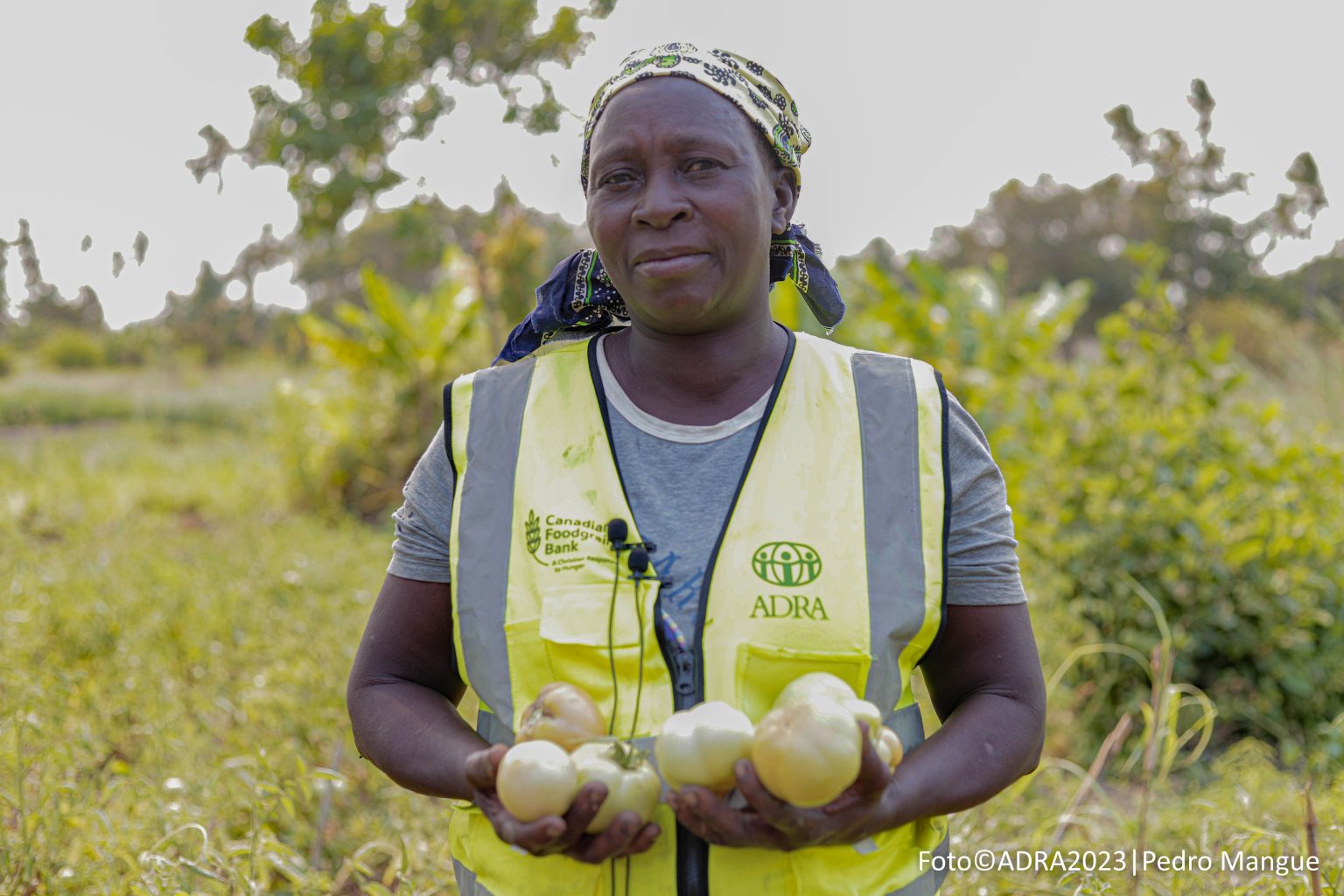 Capacitação e Formação